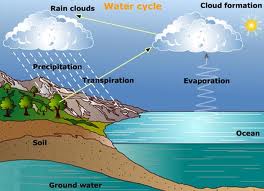 The water cycle essay